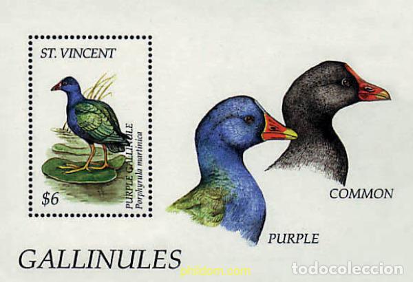 Sellos: 360436 MNH SAN VICENTE 1995 AVES