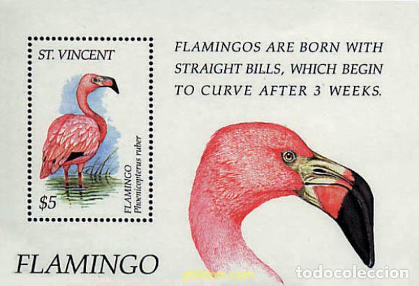 Sellos: 360437 MNH SAN VICENTE 1995 AVES