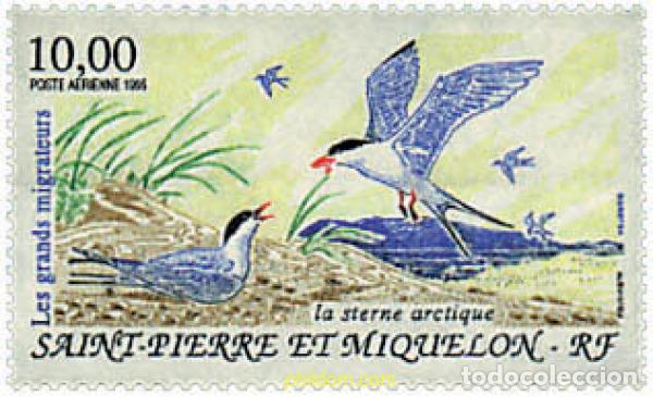 Sellos: 36952 MNH SAN PEDRO Y MIQUELON 1995 AVES MIGRATORIAS
