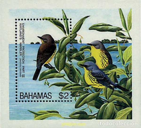 Sellos: 33258 MNH BAHAMAS 1995 PAJARO - Foto 1