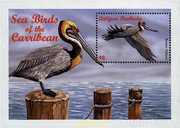 Sellos: 286612 MNH ANTIGUA Y BARBUDA 1996 AVES DEL CARIBE