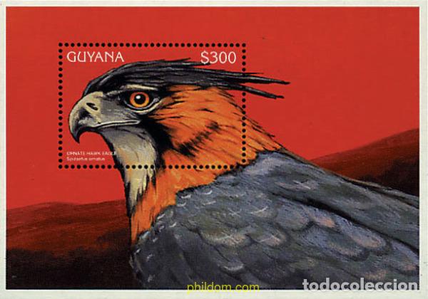Sellos: 74439 MNH GUYANA 1996 AVES - Foto 1