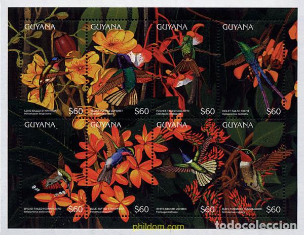 Sellos: 292259 MNH GUYANA 1996 COLIBRIS - Foto 1