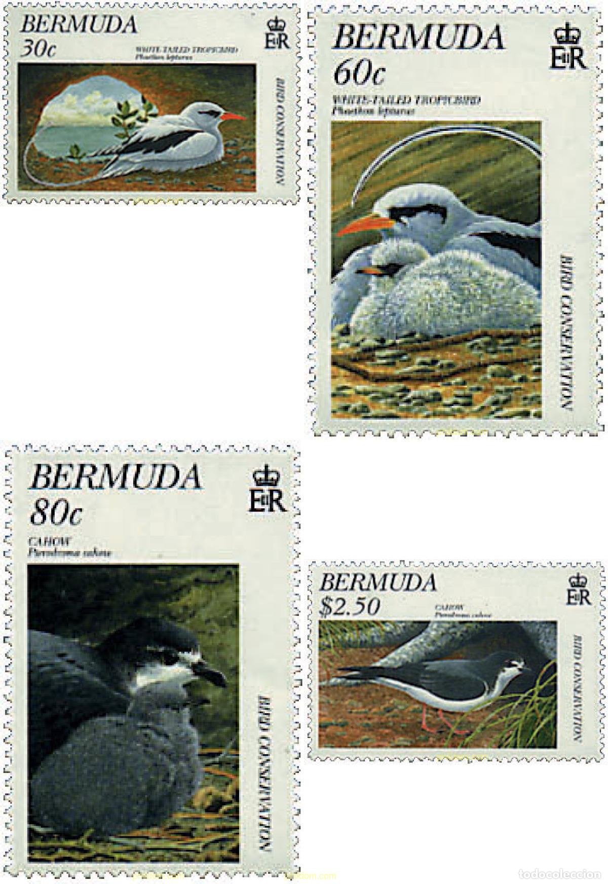 Sellos: 32037 MNH BERMUDAS 1997 FAUNA. PROTECCION DE LAS AVES