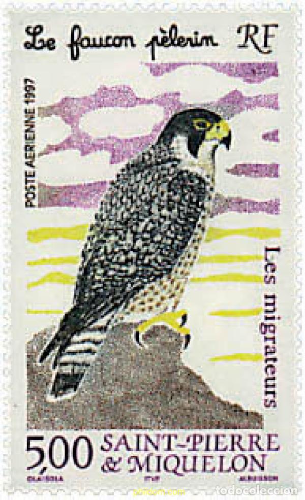 Sellos: 36955 MNH SAN PEDRO Y MIQUELON 1997 AVE MIGRATORIA