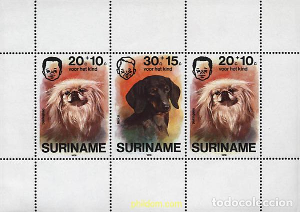 Sellos: 37160 MNH SURINAM 1976 PRO INFANCIA