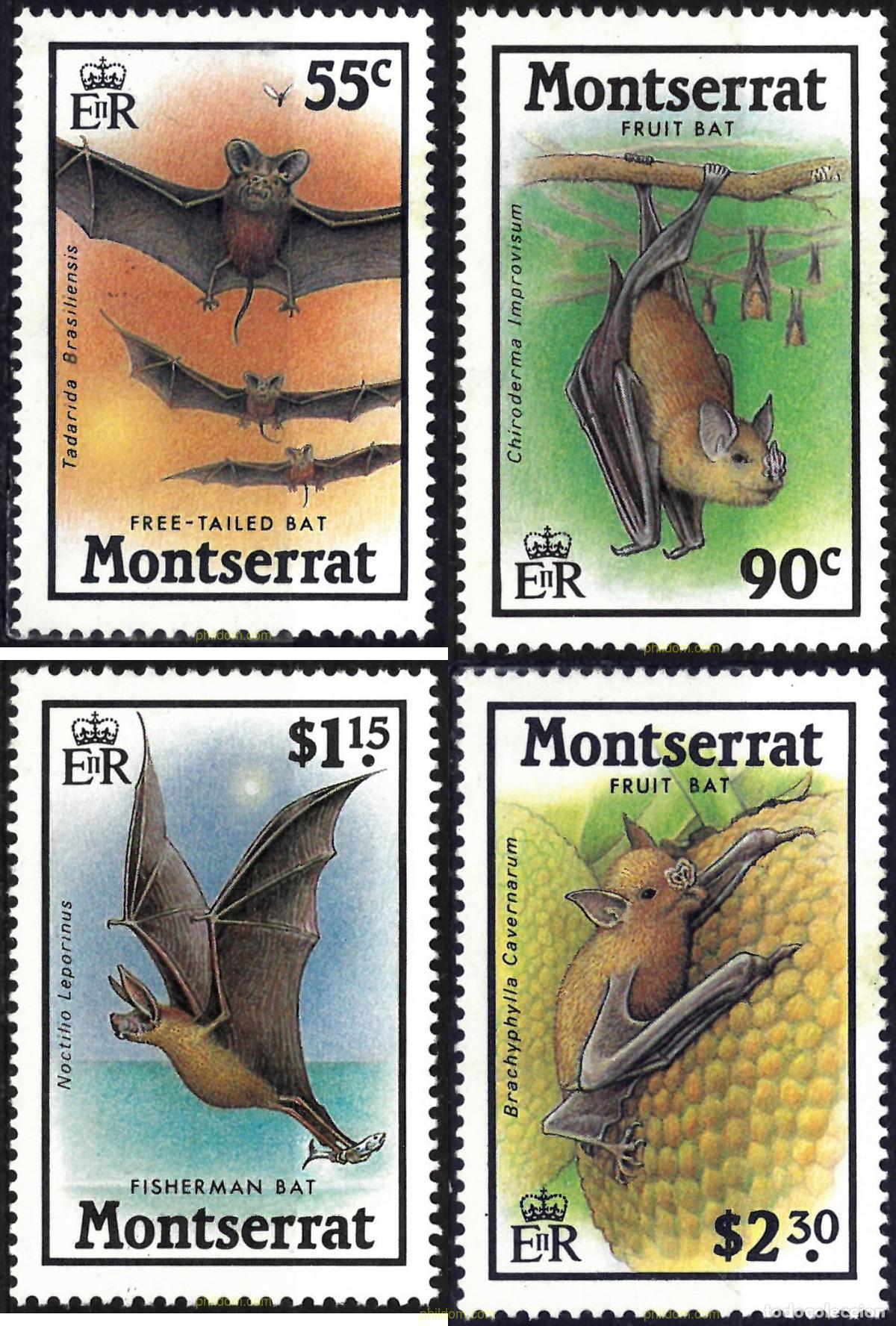 Sellos: 29033 MNH MONTSERRAT 1988 MURCIELAGOS