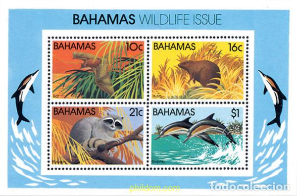 Sellos: 47457 MNH BAHAMAS 1982 VIDA SALVAJE