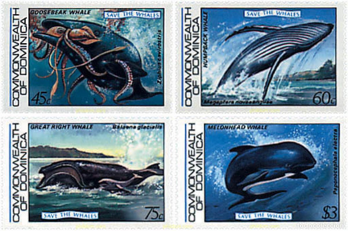 Sellos: 50485 MNH DOMINICA 1983 MAMIFEROS MARINOS