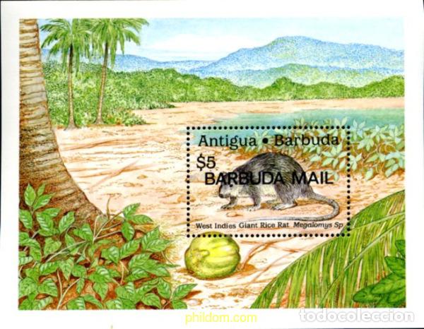 Sellos: 39167 MNH BARBUDA 1990 MAMIFEROS