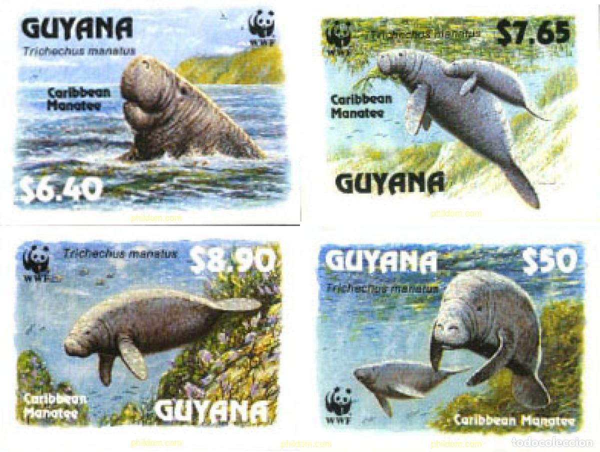 Sellos: 14987 MNH GUYANA 1993 MANATI