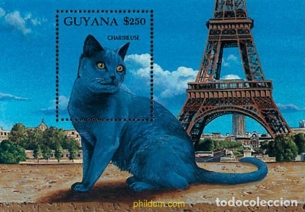 Sellos: 321388 MNH GUYANA 1992 EL MUNDO DE LOS GATOS