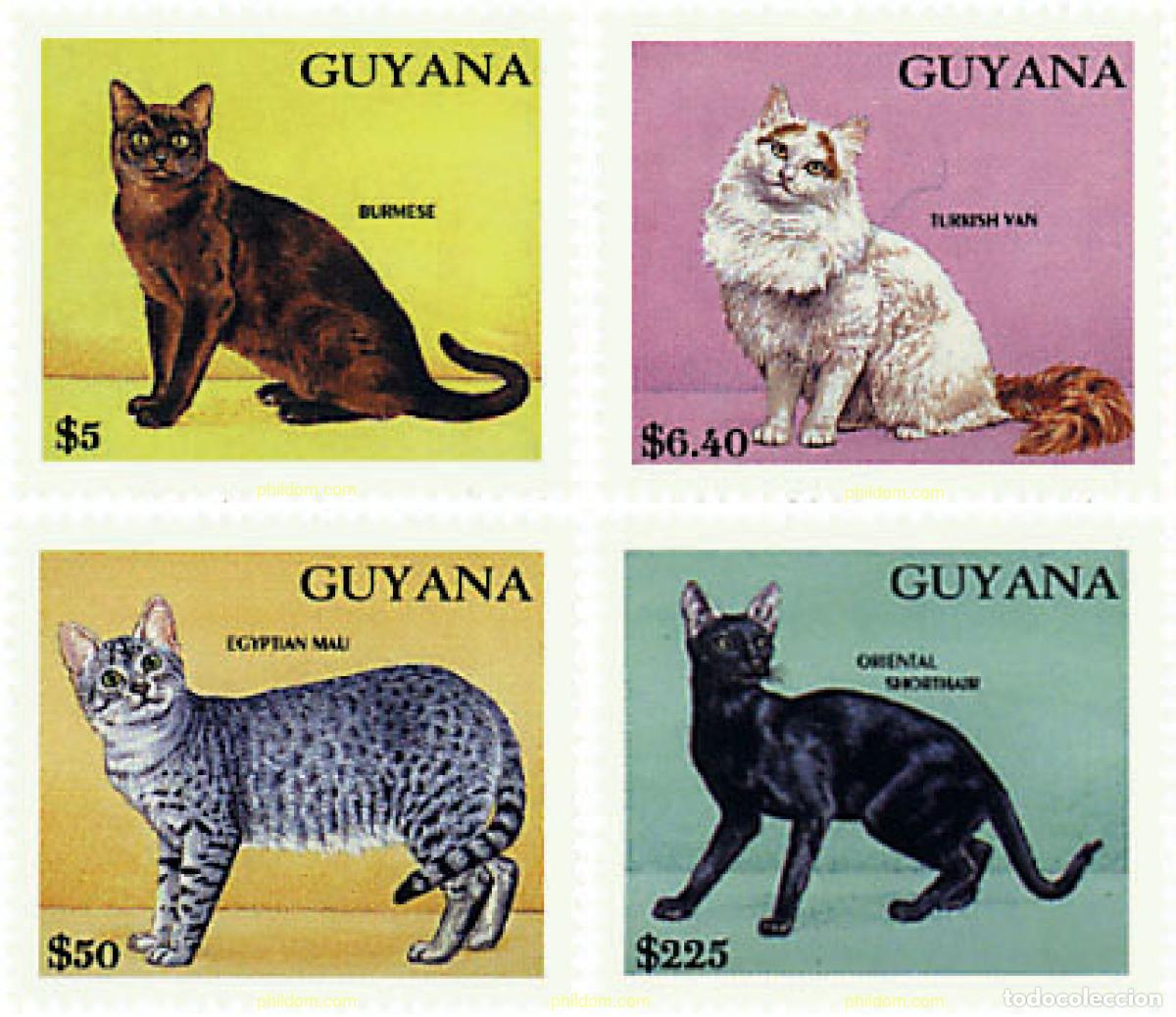 Sellos: 321391 MNH GUYANA 1992 EL MUNDO DE LOS GATOS