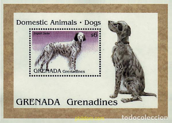 Sellos: 320246 MNH GRANADA GRANADINAS 1995 ANIMALES DOMESTICOS