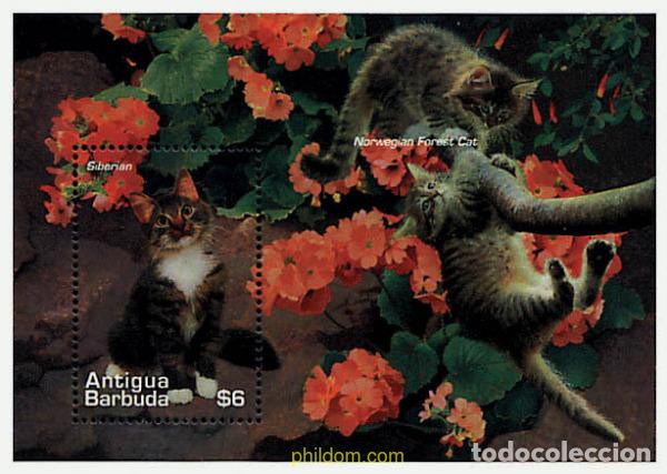 Sellos: 48612 MNH ANTIGUA Y BARBUDA 1995 GATOS DEL MUNDO