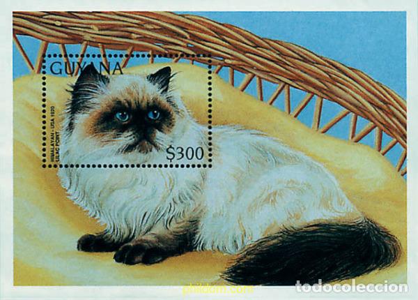 Sellos: 321465 MNH GUYANA 1996 GATOS
