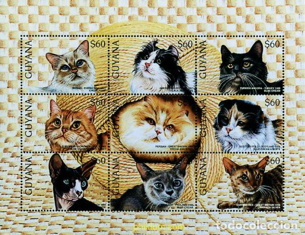 Sellos: 312171 MNH GUYANA 1996 GATOS