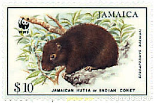 Sellos: 275266 MNH JAMAICA 1996 ESPECIES EN PELIGRO. LA HUTIA JAMAICANA