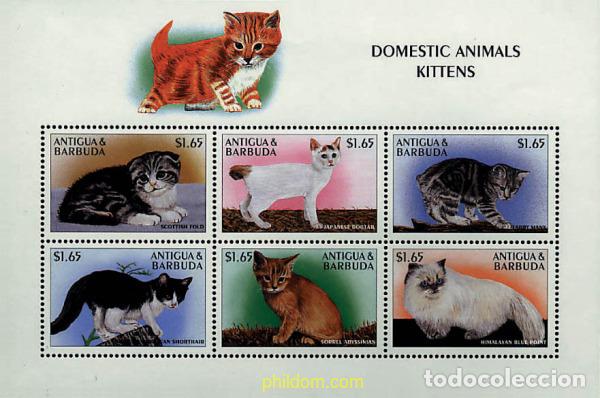 Sellos: 260690 MNH ANTIGUA Y BARBUDA 1997 GATOS