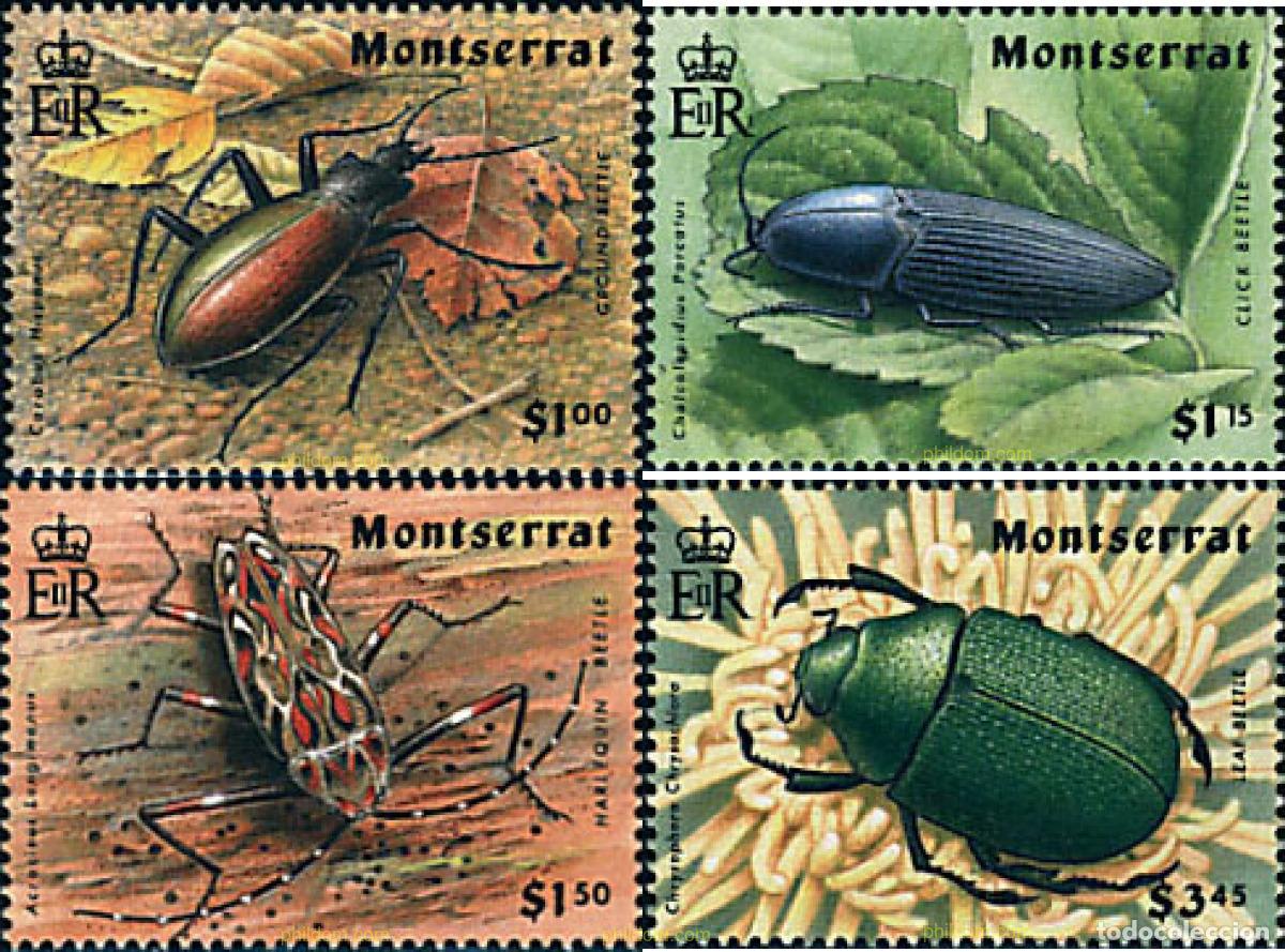 Sellos: 93733 MNH MONTSERRAT 1994 INSECTOS - Foto 1