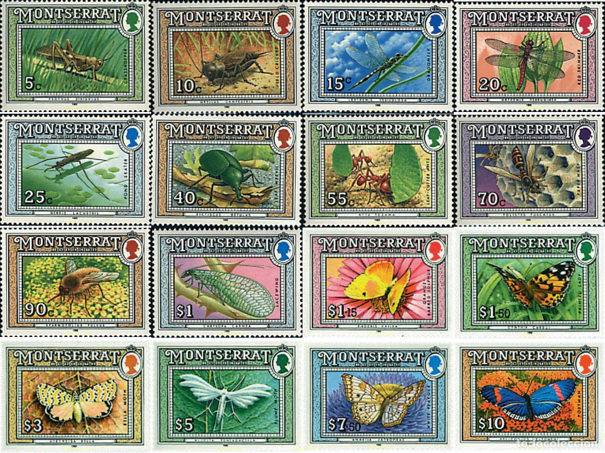 Sellos: 95232 MNH MONTSERRAT 1992 INSECTOS