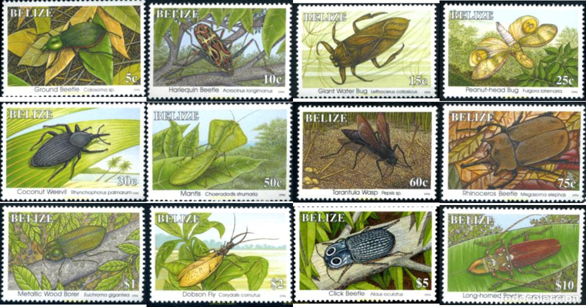 Sellos: 26209 MNH BELIZE 1995 INSECTOS