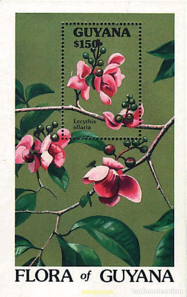 Sellos: 87644 MNH GUYANA 1990 FLORA DE GUYANA