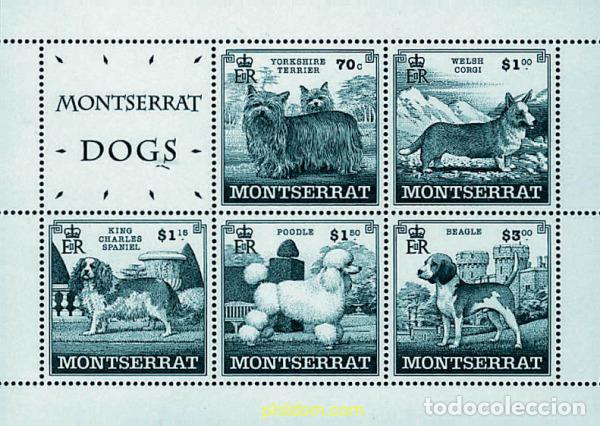 Sellos: 51586 MNH MONTSERRAT 1999 PERROS