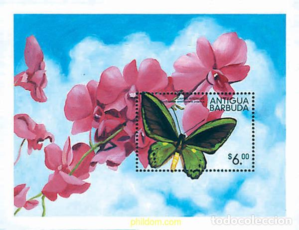 Sellos: 256389 MNH ANTIGUA Y BARBUDA 1999 MARIPOSAS