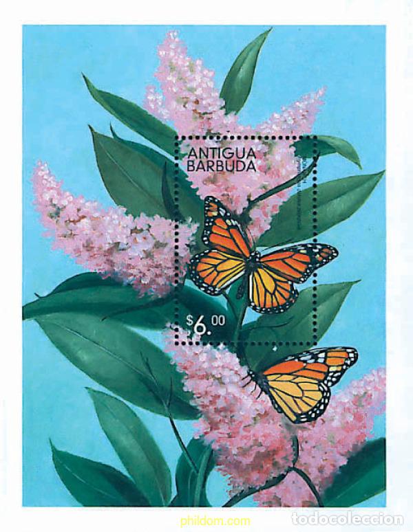 Sellos: 286629 MNH ANTIGUA Y BARBUDA 1999 MARIPOSAS