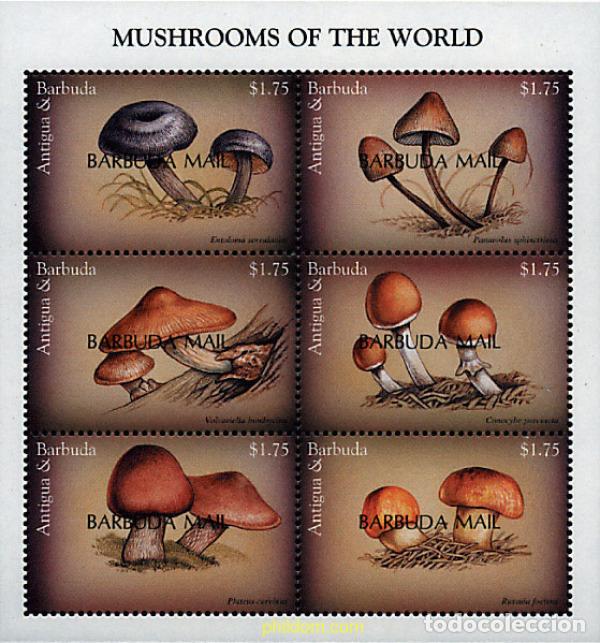 Sellos: 286681 MNH BARBUDA 1999 SETAS DEL MUNDO