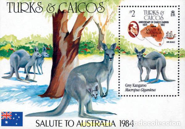 Sellos: 48120 MNH TURKS Y CAICOS 1984 175 ANIVERSARIO DEL NACIMIENTO DE CHARLES DARWIN