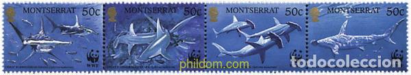 Sellos: 5308 MNH MONTSERRAT 1999 TIBURONES