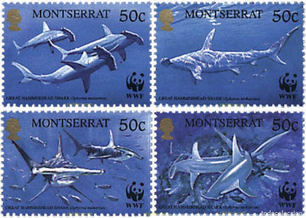 Sellos: 75056 MNH MONTSERRAT 1999 TIBURONES