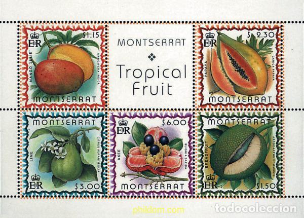 Sellos: 95245 MNH MONTSERRAT 1999 FRUTAS TROPICALES
