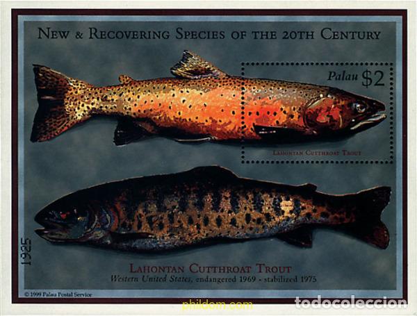 Sellos: 349847 MNH PALAU 2000 FAUNA