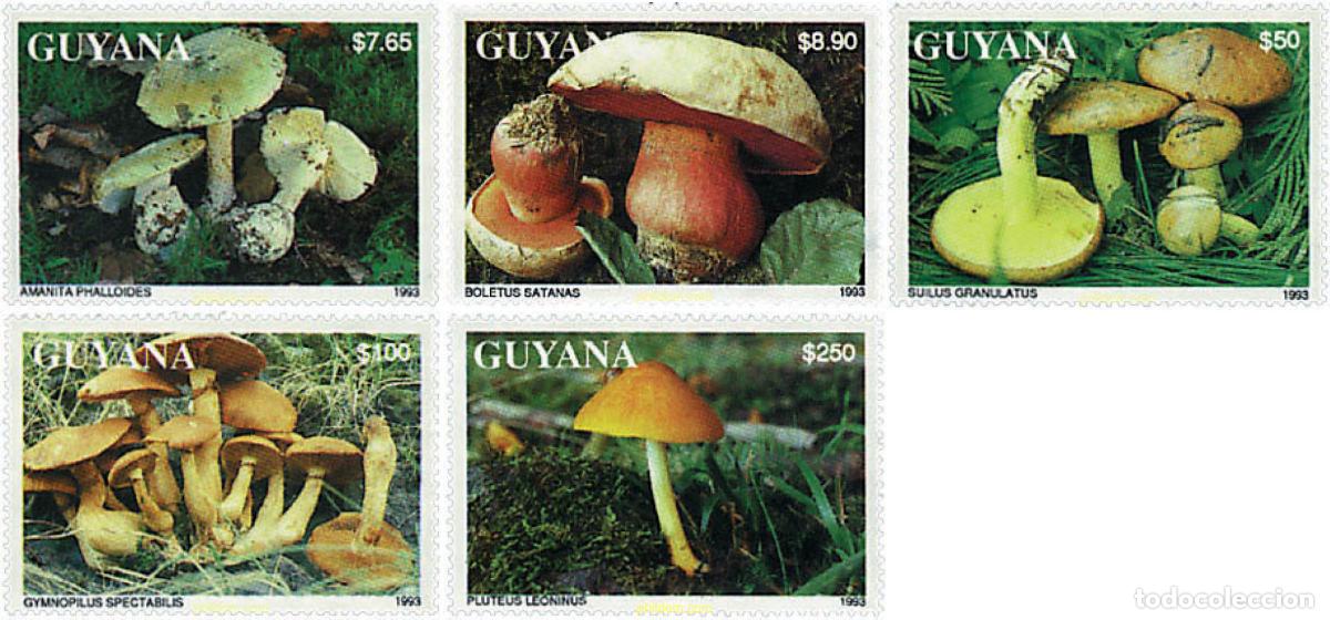 Sellos: 61149 MNH GUYANA 1993 SETAS