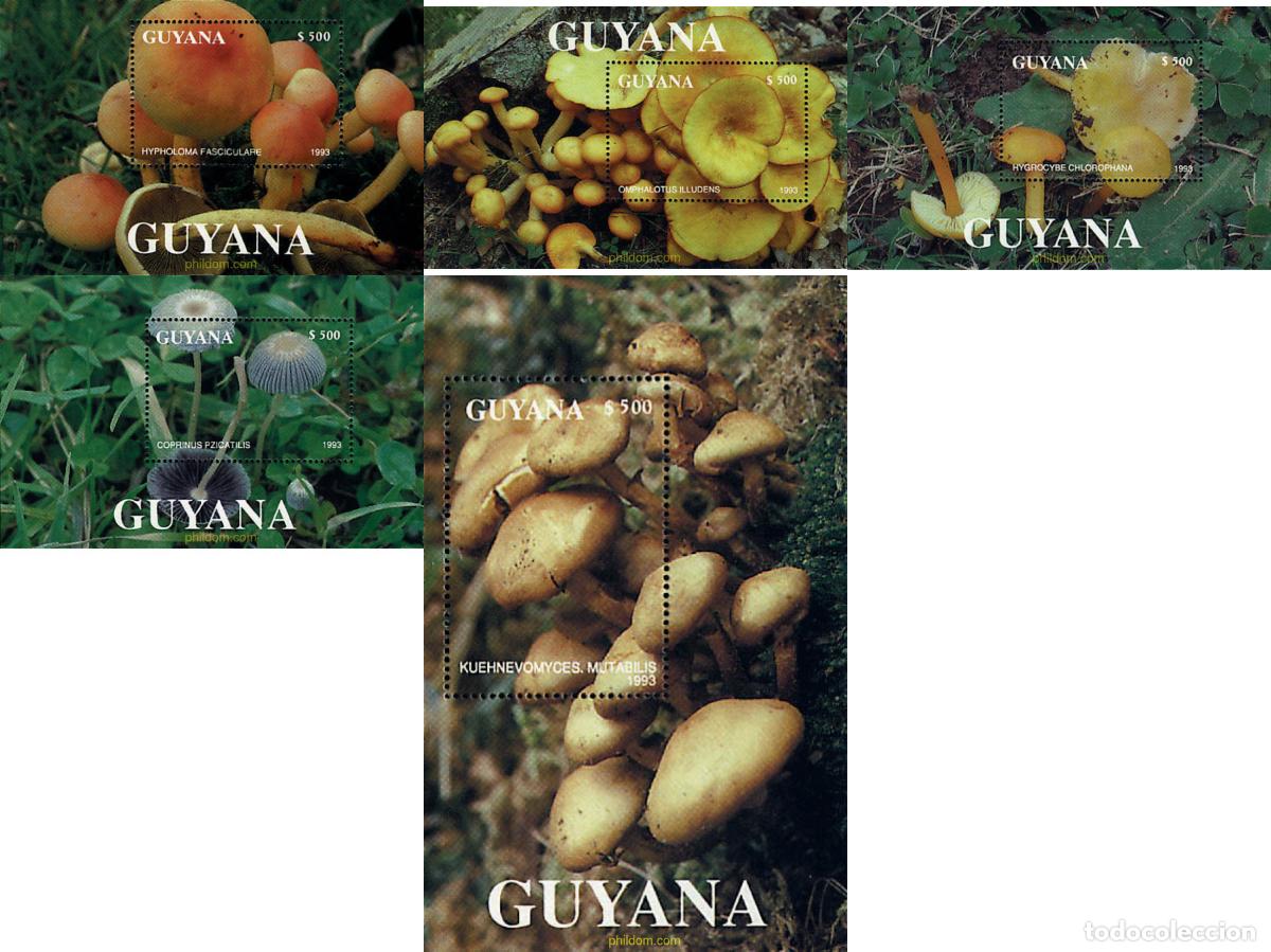 Sellos: 61176 MNH GUYANA 1993 SETAS
