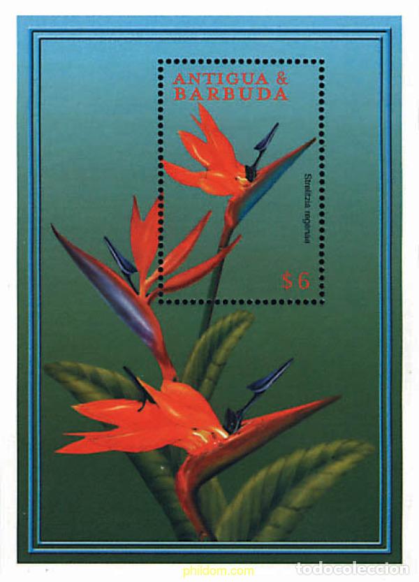 Sellos: 286638 MNH ANTIGUA Y BARBUDA 2000 FLORES