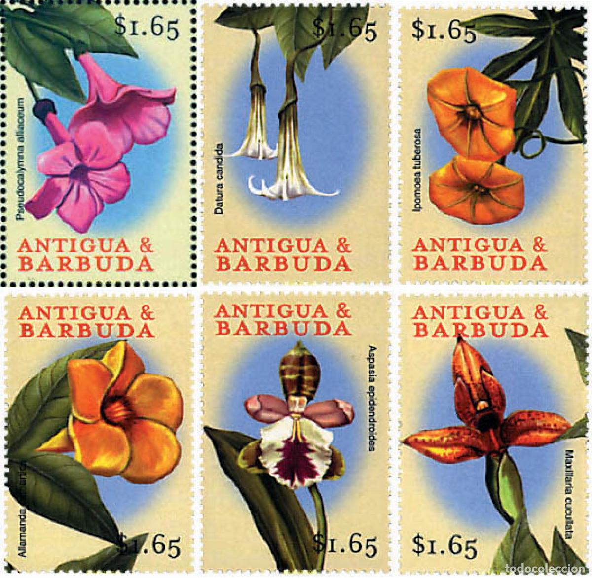 Sellos: 286634 MNH ANTIGUA Y BARBUDA 2000 FLORES