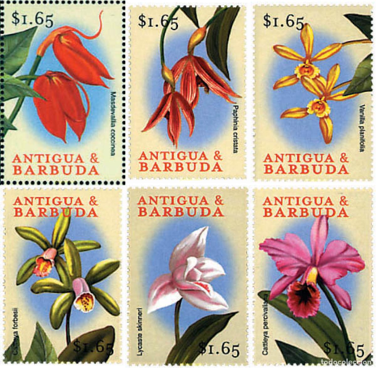 Sellos: 286635 MNH ANTIGUA Y BARBUDA 2000 FLORES