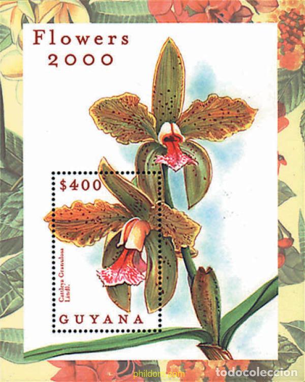Sellos: 321498 MNH GUYANA 2000 FLORES