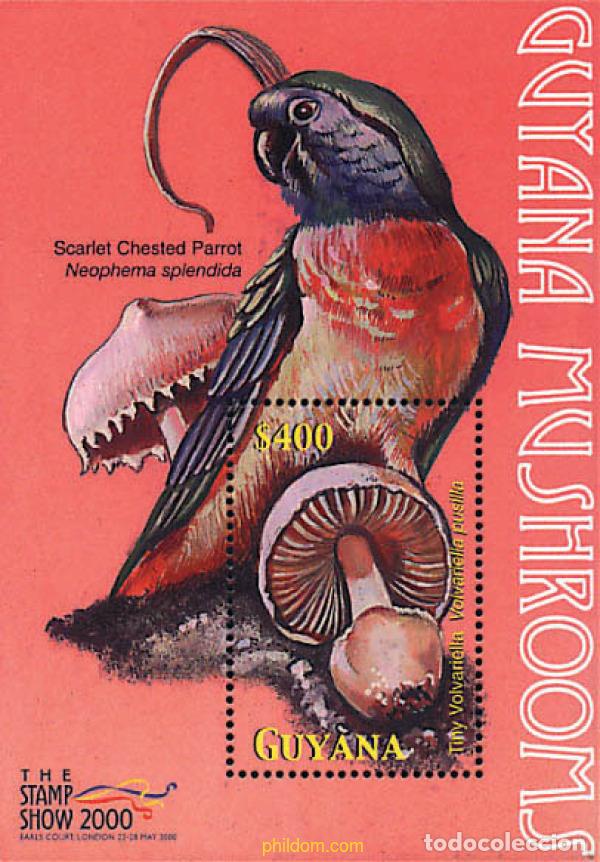 Sellos: 367440 MNH GUYANA 2000 SETAS