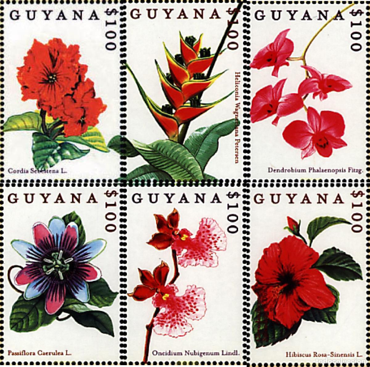 Sellos: 321496 MNH GUYANA 2000 FLORES