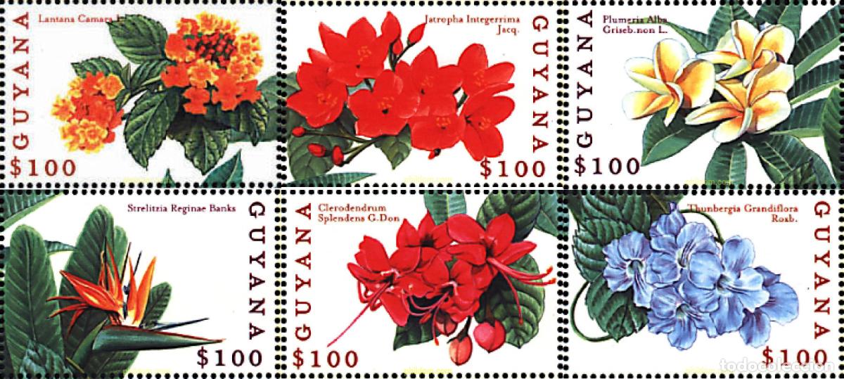 Sellos: 321499 MNH GUYANA 2000 FLORES