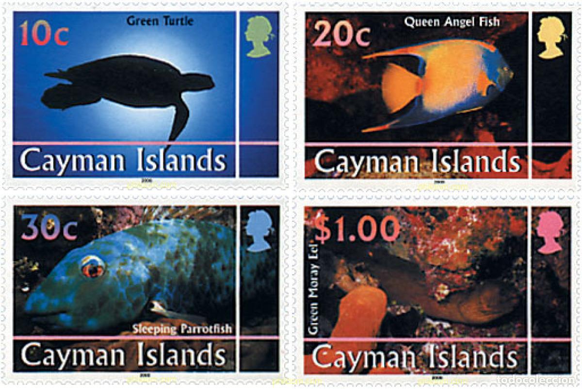 Sellos: 58767 MNH CAIMAN Islas 2000 FAUNA MARINA