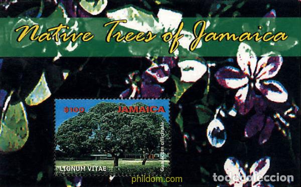 Sellos: 100009 MNH JAMAICA 2000 ARBOLES DE JAMAICA