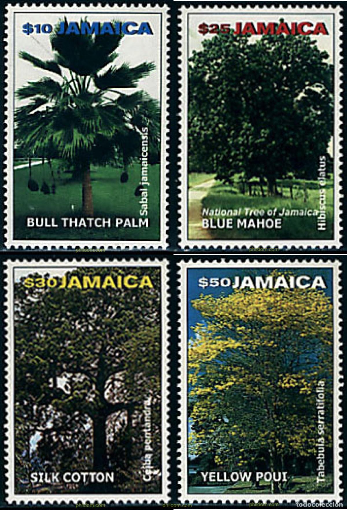 Sellos: 100010 MNH JAMAICA 2000 FLORA. ARBOLES DE JAMAICA
