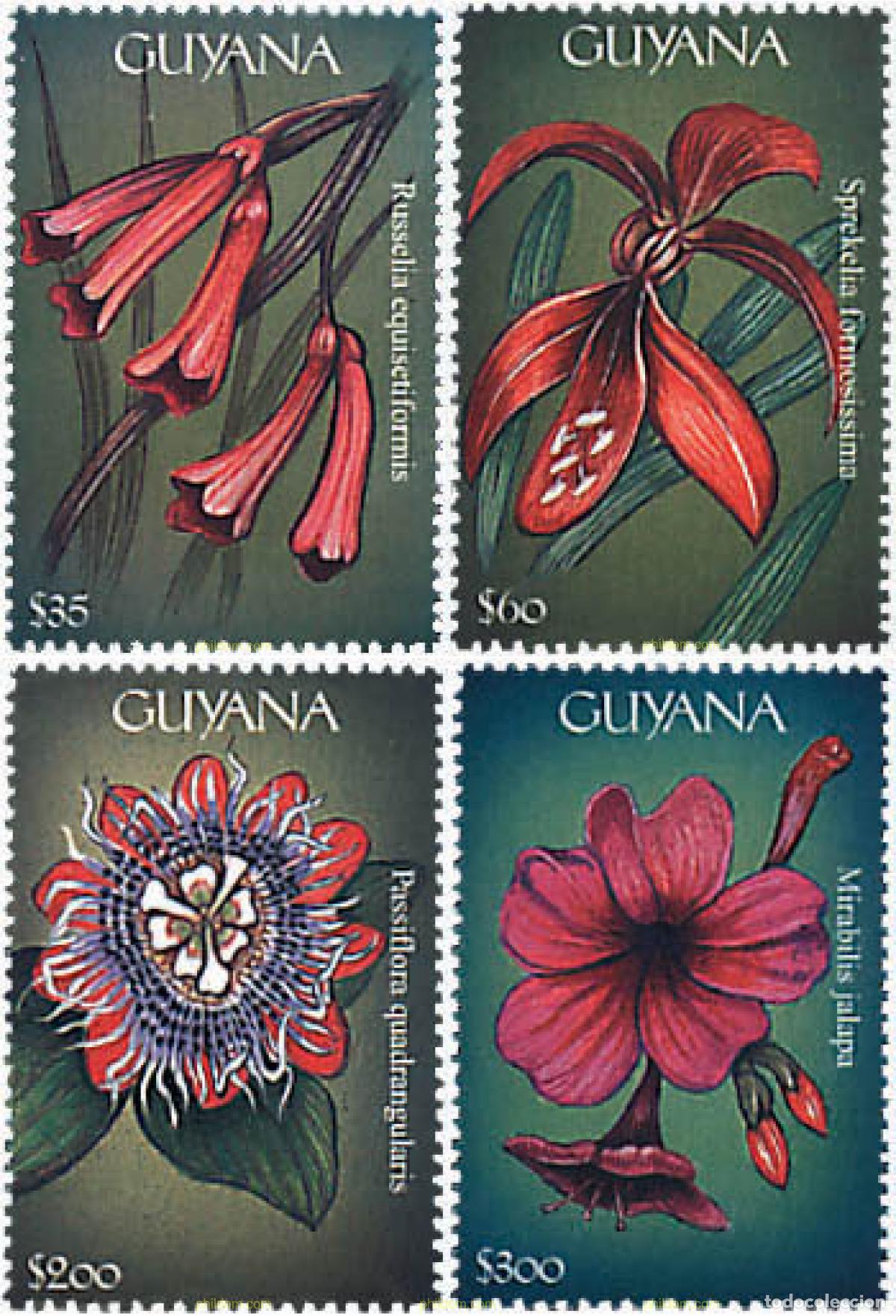 Sellos: 88034 MNH GUYANA 2000 FLORES