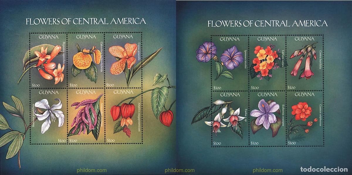 Sellos: 311700 MNH GUYANA 2000 FLORES
